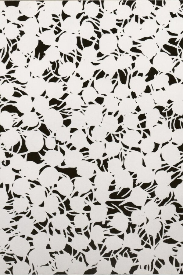 Pavel Hayek, Kedlubny, foto: Libor Teplý